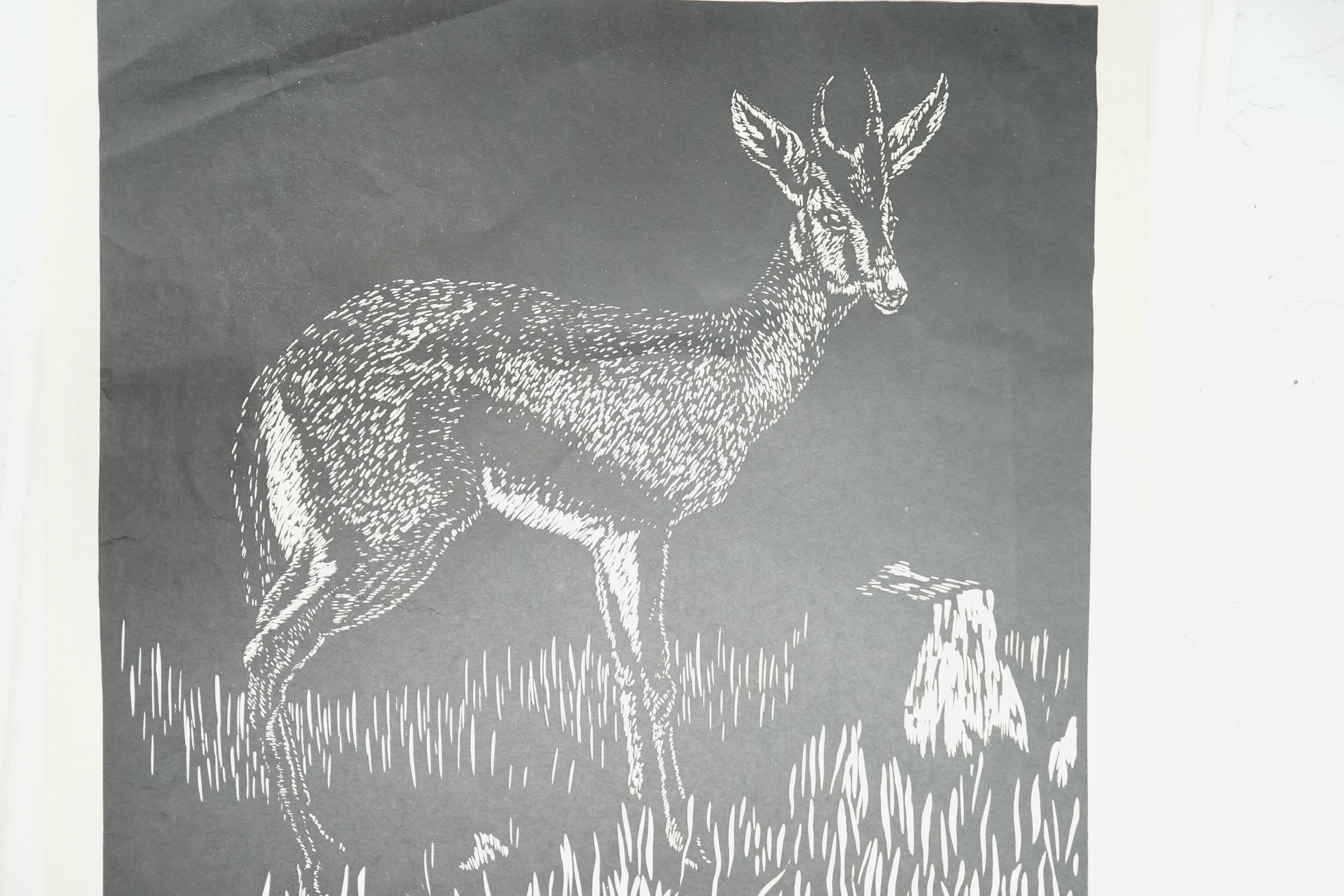 William Kermode (1895-1959), wood engraving, 'Gazelle' 6/50, signed in pencil, sheet 31 x 28.5cm. unmounted. Condition - good